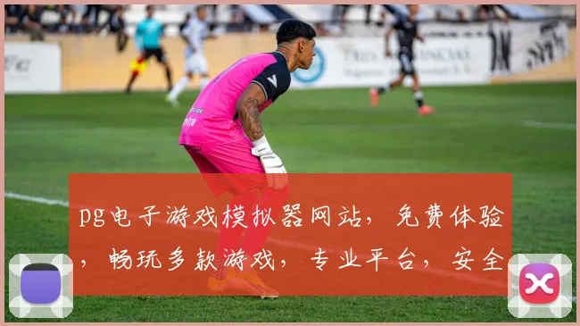 pg电子游戏模拟器网站，免费体验，畅玩多款游戏，专业平台，安全可靠，三重保障，不容错过