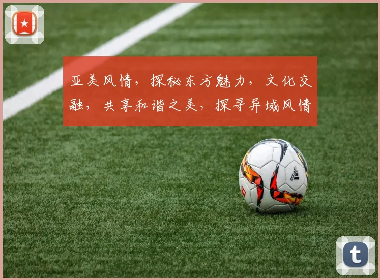 亚美风情，探秘东方魅力，文化交融，共享和谐之美，探寻异域风情。
