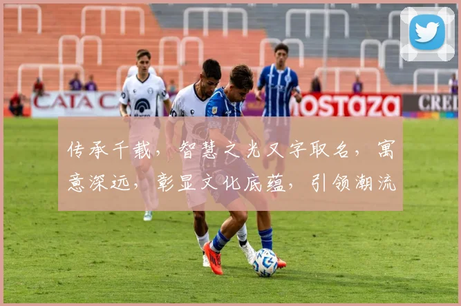 传承千载，智慧之光又字取名，寓意深远，彰显文化底蕴，引领潮流风尚