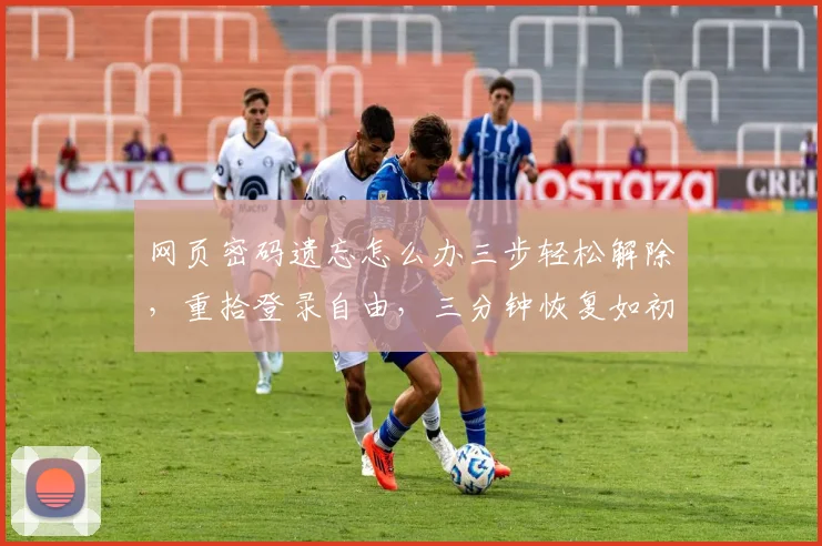 网页密码遗忘怎么办三步轻松解除，重拾登录自由，三分钟恢复如初